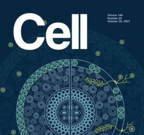 祝賀王二濤老師團(tuán)隊(duì)又一佳作榮登Cell期刊！