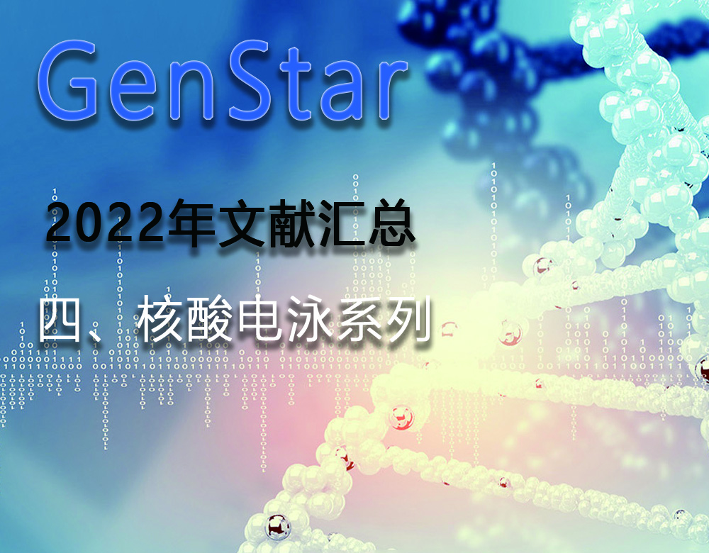 GenStar 2022年文獻匯總（四、核酸電泳系列）